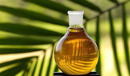 افزایش تعرفه واردات روغن پالم