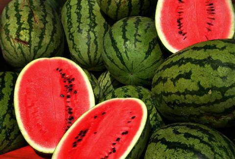 قیمت هندوانه شب یلدا ۲ برابر شد!