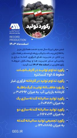 رکود تولید در اسفندماه ۱۴۰۳ شرکت معدنی و صنعتی گل گهر