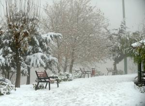 بارش برف و وزش باد شدید در راه تهران